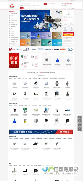 大连专业网站制作：透明报价，精准服务，助您提升品牌形象